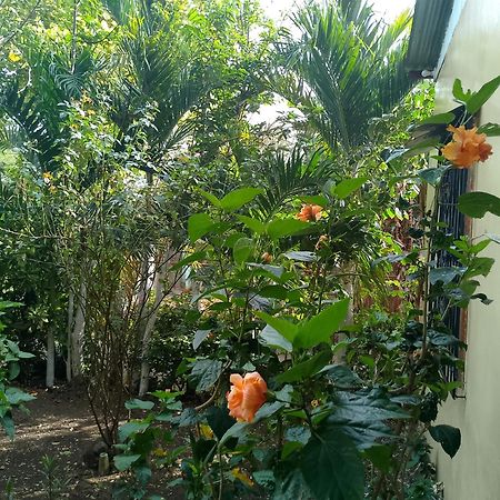 The Malinche Hostal Rivas Dış mekan fotoğraf
